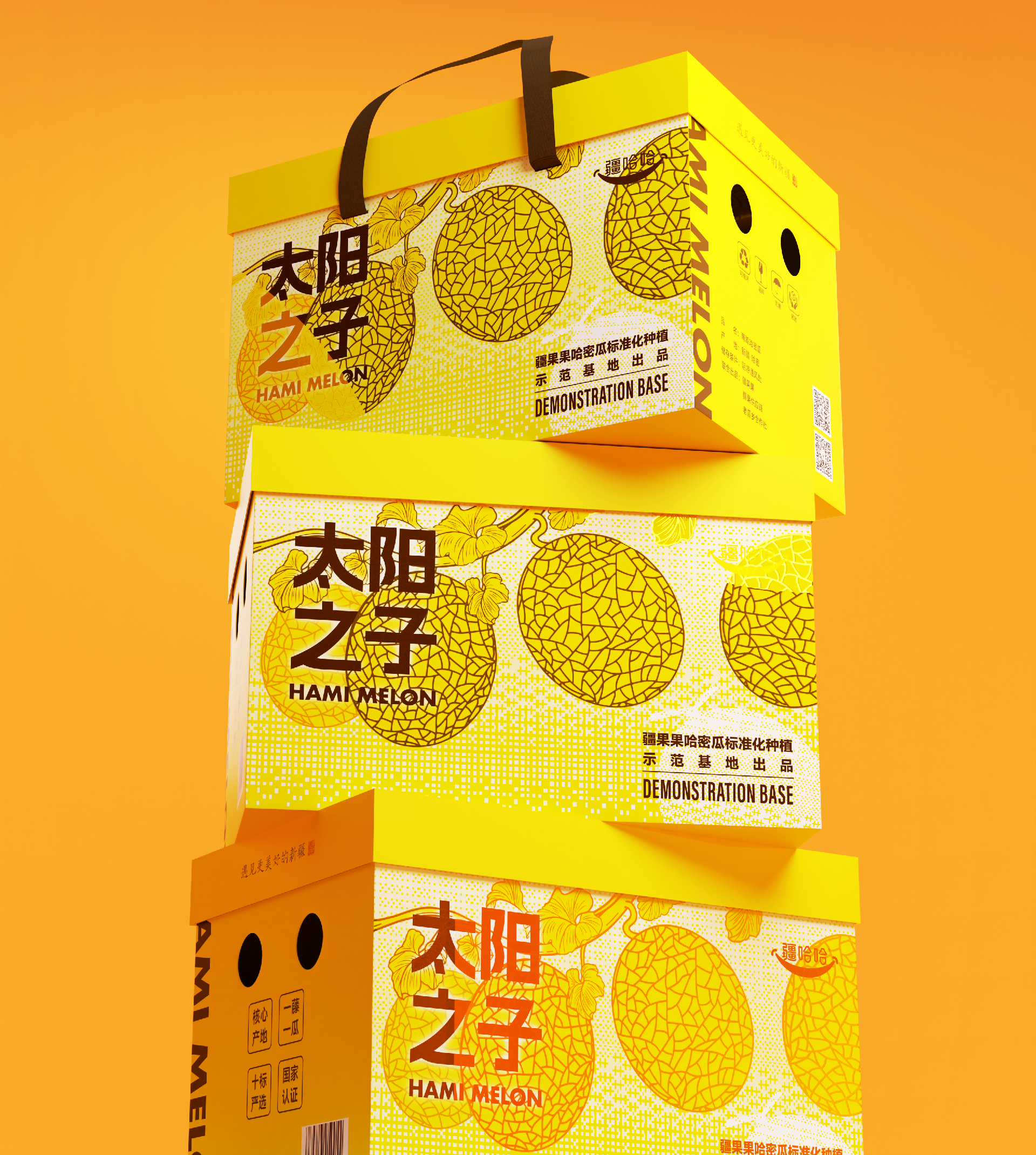 疆哈哈 案例图片