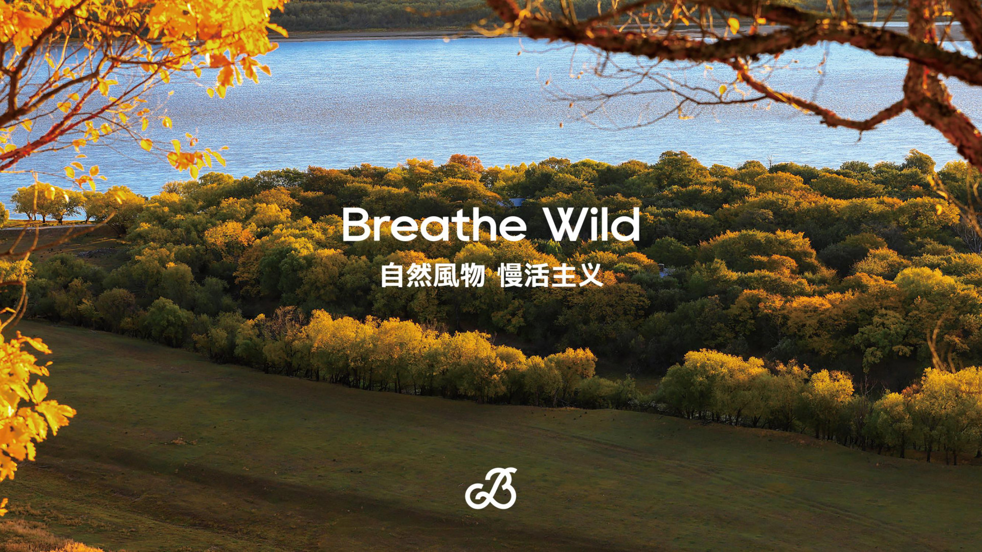 旷野之息 Breathe Wild 品牌设计案例封面
