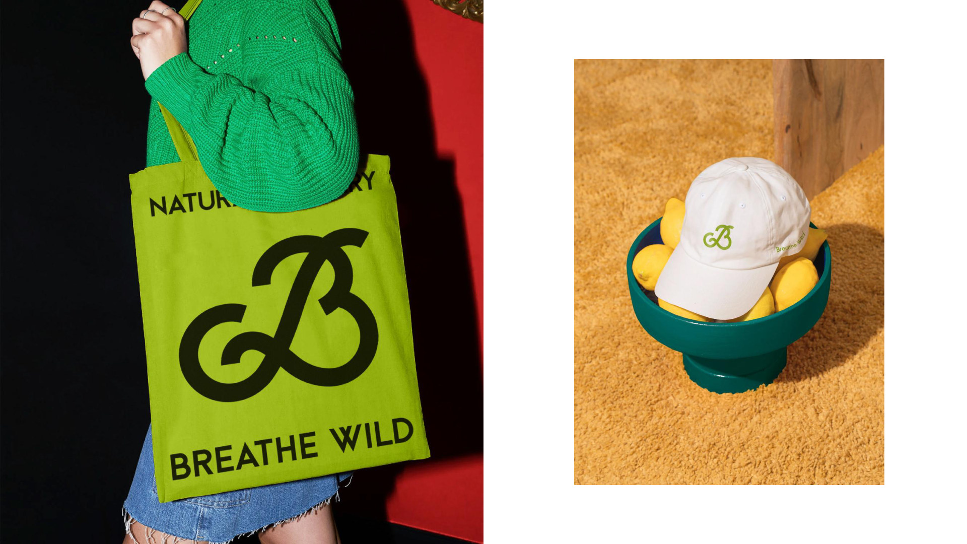 旷野之息 Breathe Wild 案例图片