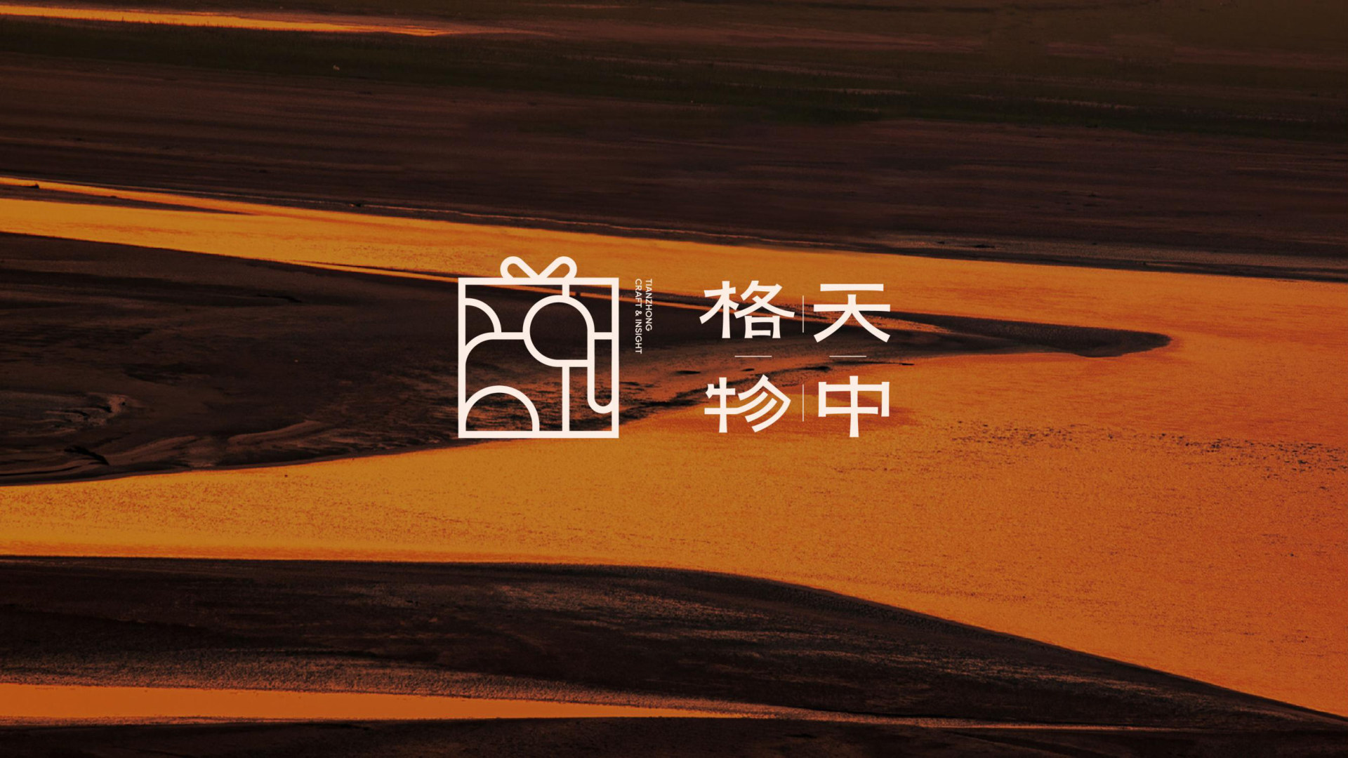 天中格物 品牌设计案例